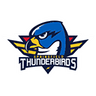 Arctic Wolves Hockey Club